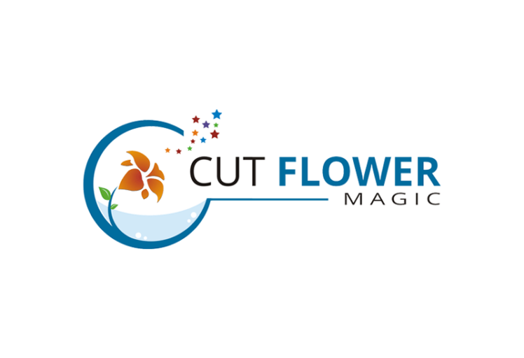 Cut Flower