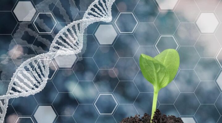 Biotechnology Advancements and Genetic Engineering: Transforming the World