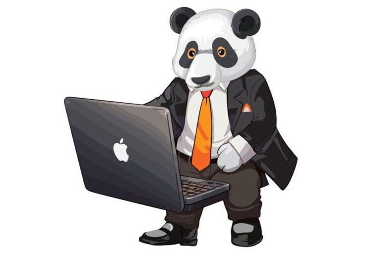 Panda with laptop graphic